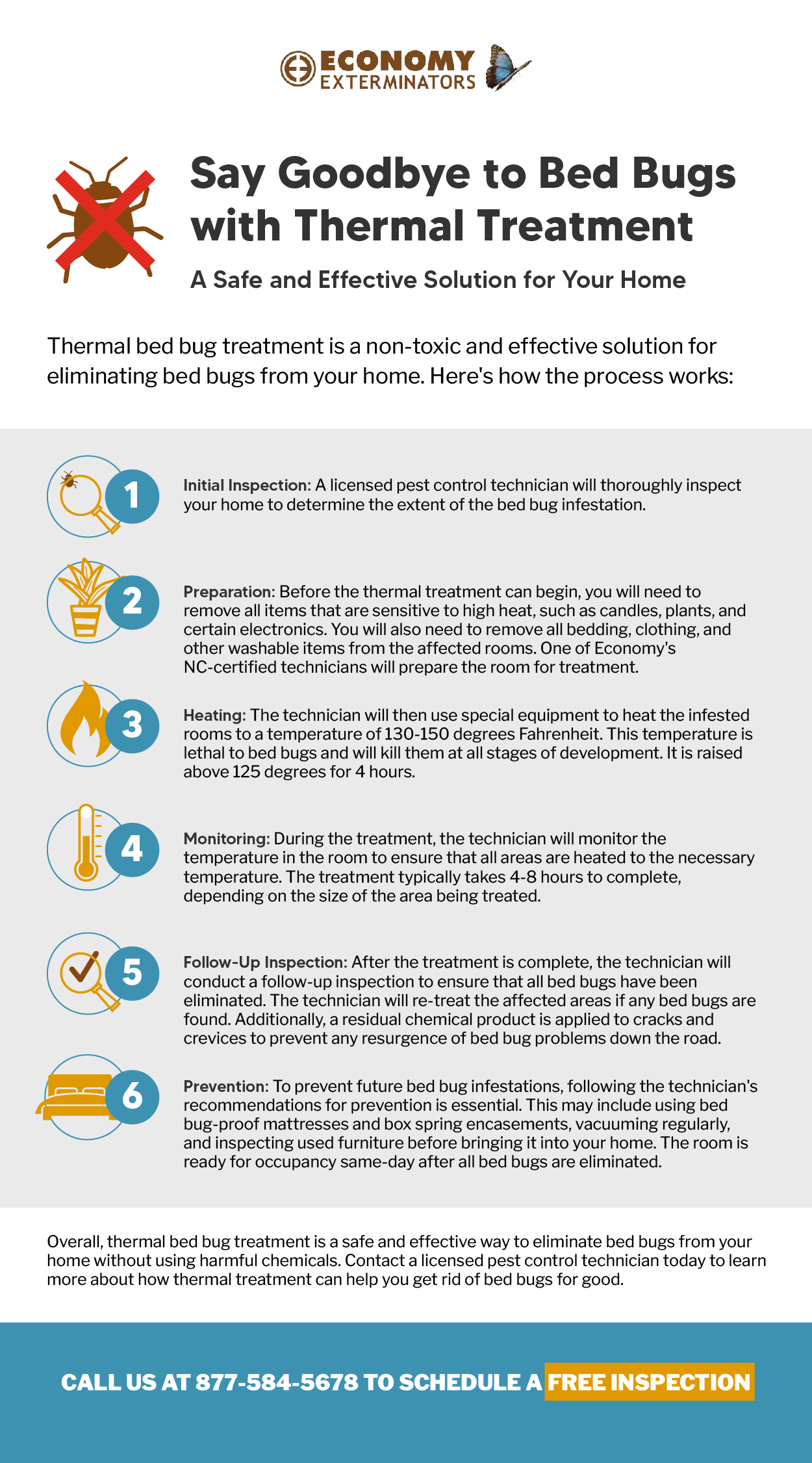 Bed Bugs Extermination