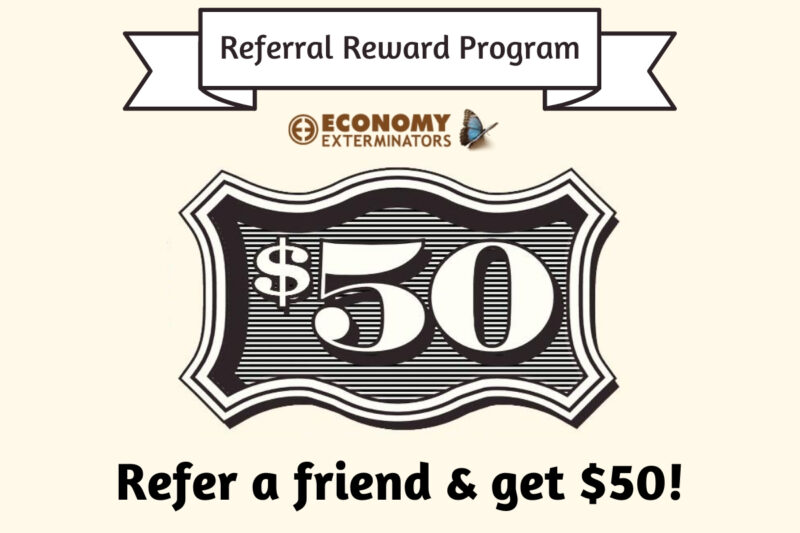referral rewards program