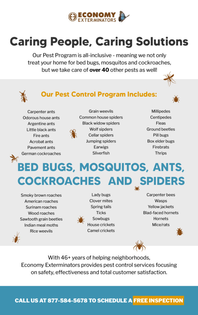 Pest infographic- Economy Exterminators