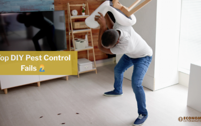 The Top 5 Reasons DIY Pest Control Fails